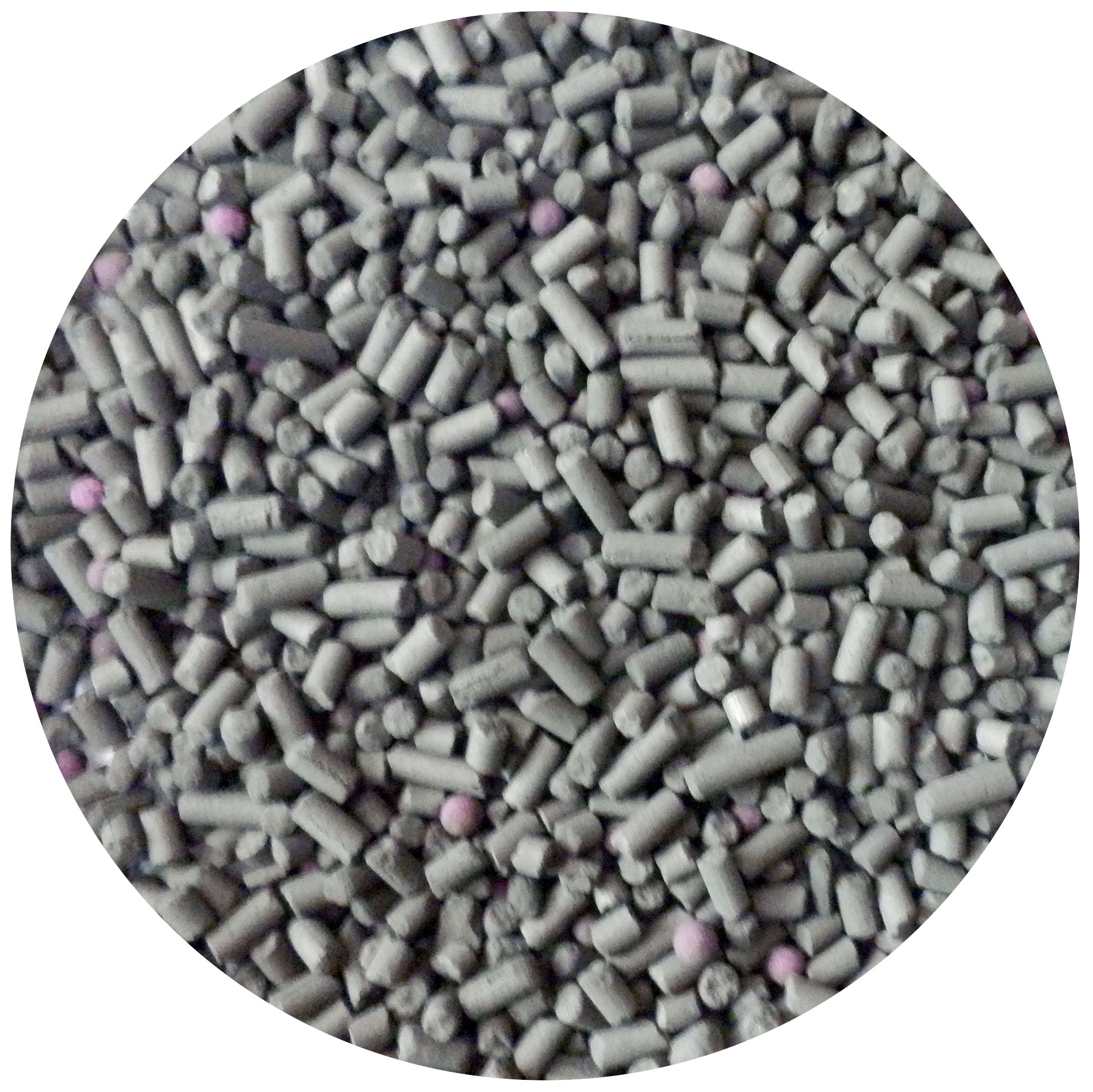 麻豆网站在线免费观看